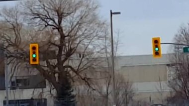 Şehir Trafik Işığı Yeşilden Kırmızıya Değişti. Şehir Trafiği Açık Yeşil, Sarı veya Kehribar, Kırmızı Altında Taşıyıcı Aracıyla.