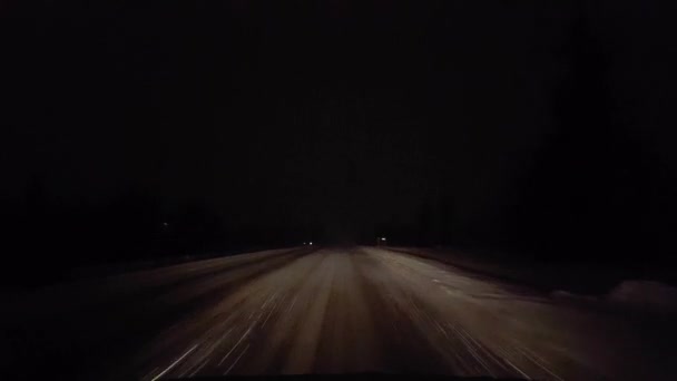 Rijden Terwijl Nachts Rural Road Zwierf Bestuurderspunt Pov Sneeuw Sneeuwvlokken — Stockvideo