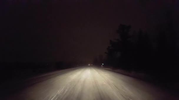 Fahren Schneesturm Auf Der Landstraße Der Nacht Sichtweise Des Fahrers — Stockvideo