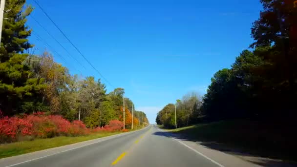 * Fast Motion * Driving Time Lapse as Summer Change to Winter, and Winter Changes to Summer. Point de vue du conducteur Point de vue du conducteur Point de vue du conducteur Point de vue du conducteur Point de vue du conducteur Point de vue du conducteur .