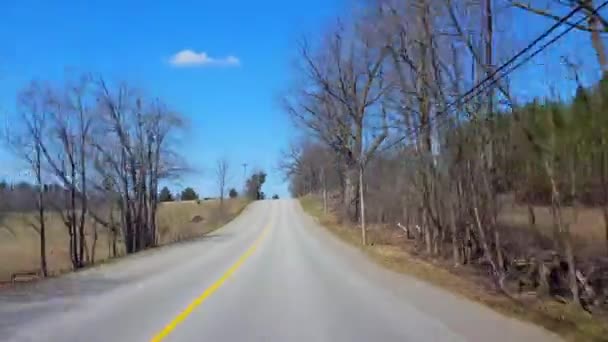 Reverse Motion Rijden Countryside Forest Tijdens Lente Europa Bestuurderspunt Pov — Stockvideo