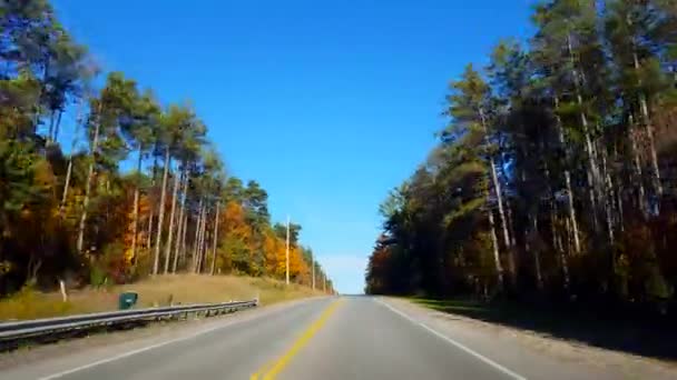 逆運動 日の秋の田舎道を運転 カラフルなオレンジと赤の葉をバックワード秋の間にカントリーストリートに沿ってビューポフのドライバーポイント — ストック動画