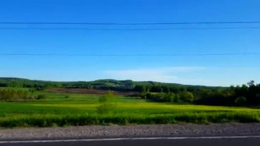 Gündüz Kırsal Tarım Alanından Sağdan Seyir. Sürücü Görüş Noktası Pov Sürücü Kırsal Tarla Manzarası Geçişi