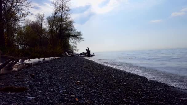 Reverse Motion Backward Beach Waves Day Stone Beach Sand Ondas — Vídeo de Stock