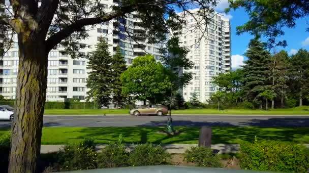 Reverse Motion Side View City Traffic Driving Lush Green Trees — стокове відео