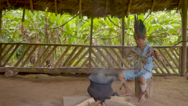 Indigène vieil homme effectue un rituel chamanique en utilisant de la fumée et des herbes — Video