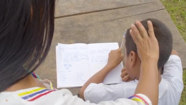 Jeune femme autochtone aide un jeune garçon avec ses devoirs — Video