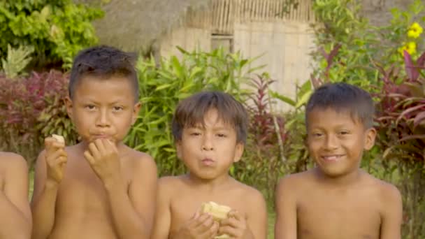 Happy Indigenous Children Are Enjoying Eating Sugarcane — Stock Video