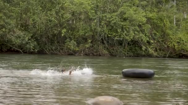 Infödda pojkar leker i en flod med ett flytande däck — Stockvideo