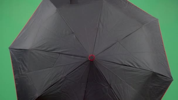 Forscherin mit Regenschirm — Stockvideo