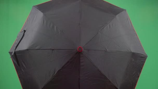 Forscherin mit Regenschirm — Stockvideo