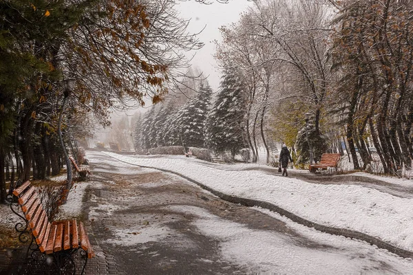 Park sokağı kıvrımlı ve patikada yürüyen bir kız..