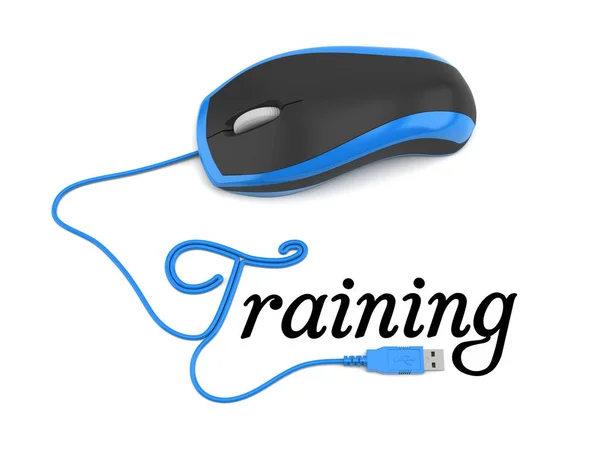 Online training concept — Stock Photo, Image