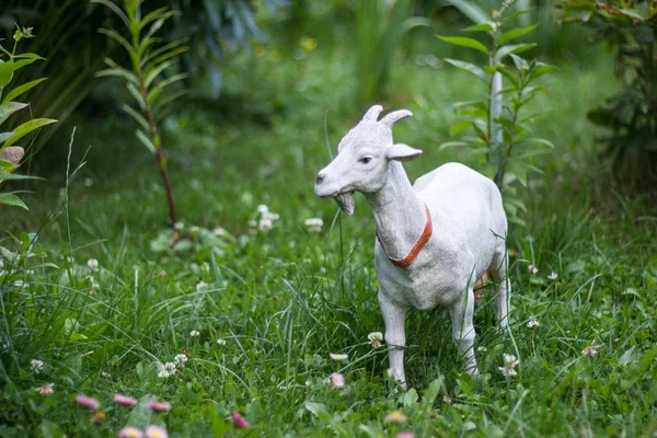Goat model, decorated in a garden, summer sculpture in grass. Outdoor statue, farm animal — 스톡 사진