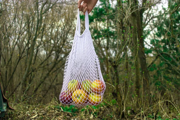 Holding string bag full of apples in the forest. Eco packaging concept: shopping for groceries with reusable bag. Taking care of the environment. Healthy vegeterian eating.