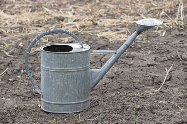 Old watering still iron can in garden on the ground. Simple vessel for drip irrigation of plants. Body, handle, spout and diffuser. Farm life in the village.