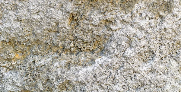 Structure of a stone slab of limestone — Stock Photo, Image