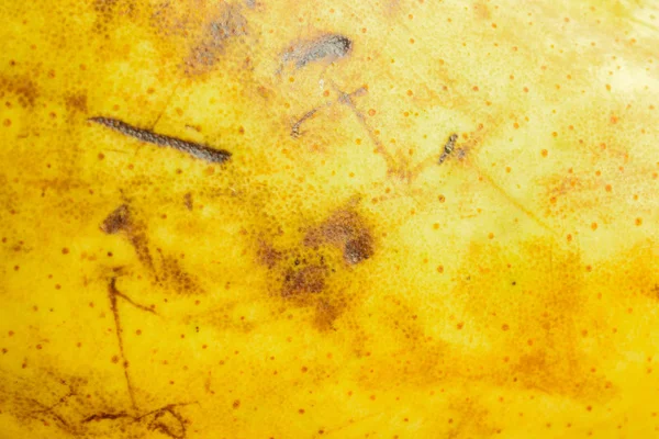 Textura Una Piel Pera Amarilla — Foto de Stock
