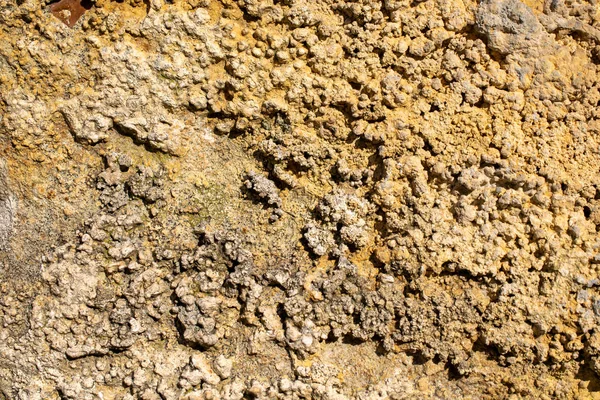 Struttura di una lastra di pietra calcarea — Foto Stock