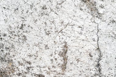 beyaz kireç taşı dokusu veya arkaplan