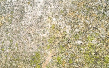 kireçtaşı dokusu doku ya da arkaplan olarak kullanılabilir.