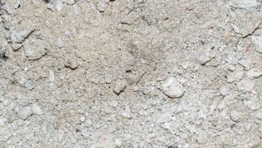 Yaprak döken ağaçlardan gelen gri kül dokusu veya arkaplanı