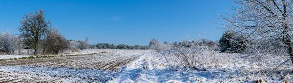 Bianco Paesaggio Invernale Nei Campi Una Bella Giornata Sole — Foto Stock