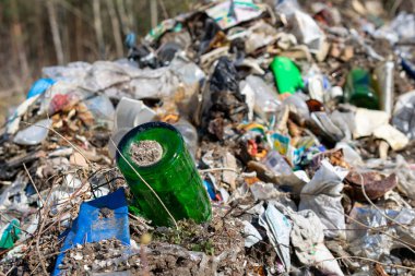 Belediye çöplüğü çöplükte. Çevre kirliliği.