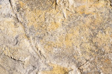 kireçtaşı dokusu doku ya da arkaplan olarak kullanılabilir.