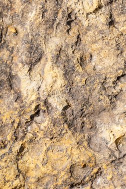 kireçtaşı dokusu doku ya da arkaplan olarak kullanılabilir.