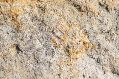 kireçtaşı dokusu doku ya da arkaplan olarak kullanılabilir.