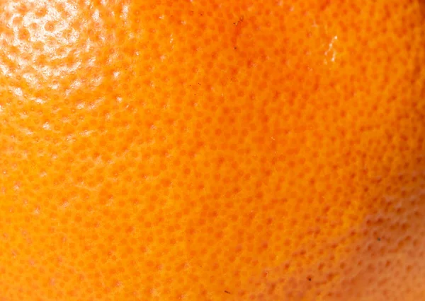 Écorce Orange Avec Texture Visible Macro Photo — Photo