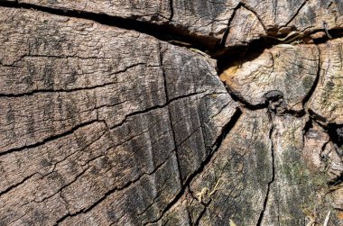 Eski kırık ahşap ve görünür detaylar. doku