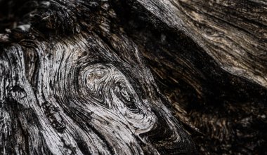 Eski kırık ahşap ve görünür detaylar. doku