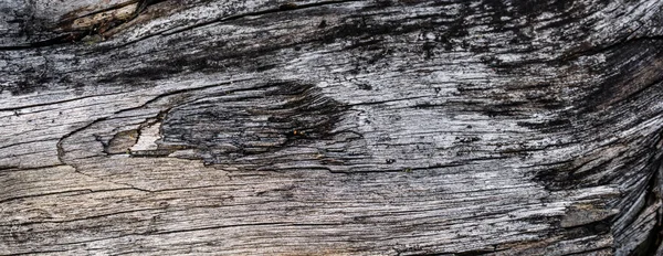 目に見えるディテールの古い割れた木 テクチュラ — ストック写真
