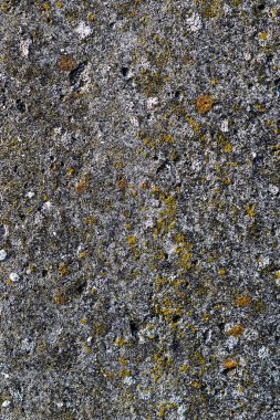 Eski hafif alçı dokusu