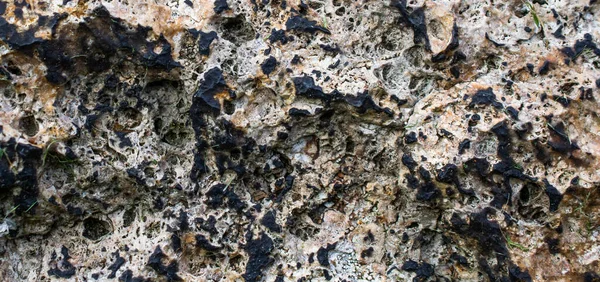 テクスチャや背景として使用できる石灰岩のテクスチャ — ストック写真