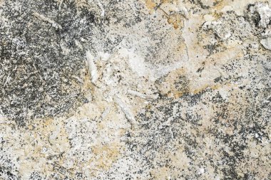 İlginç bir dokusu olan hafif kireçtaşı. arkaplan