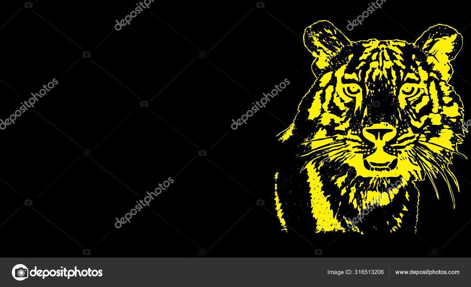 Tiger black background Stock Photos, Royalty Free Tiger black background  Images | Depositphotos