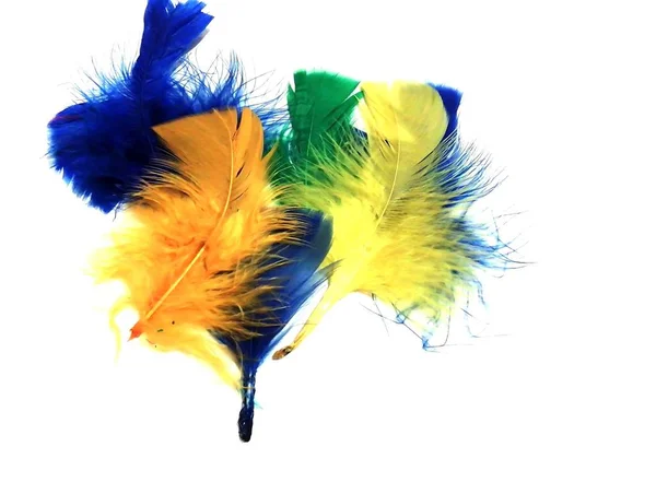 Цветные перья на белом фоне — стоковое фото