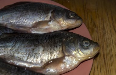 havuz balığı bir plaka üzerinde