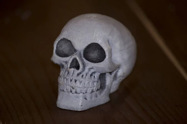 Крупный план черепа из пластика — стоковое фото