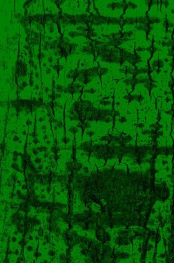 Yeşil Aspen ağacı ağaç kabuğu yeşil doku