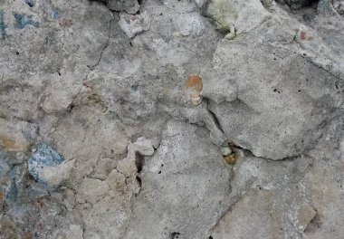 Kaya duvarı dikişsiz. Büyük bir taş.