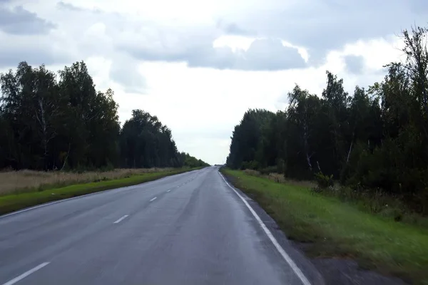 Road Forest Strip — Stock Photo, Image