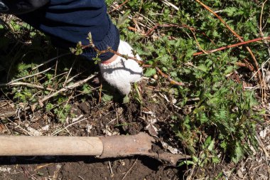 Bir kürekle toprağı kazmak..