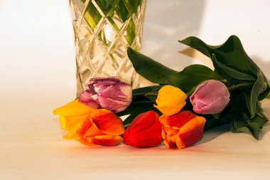 Vazonun yanında duran bir buket renkli lale çiçeği..