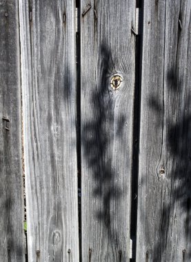 Bir sürü yuvarlak tahta sopa yakın mesafede..