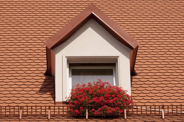 Kırmızı kiremit. Tavan penceresinde.