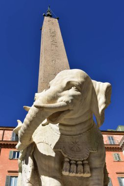 Piazza della Minerva Obelisk ve Berninis Fil 'in yakın çekimi. Roma, İtalya.